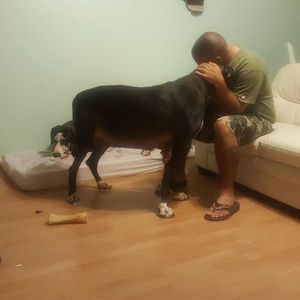 Meet your Posher, William